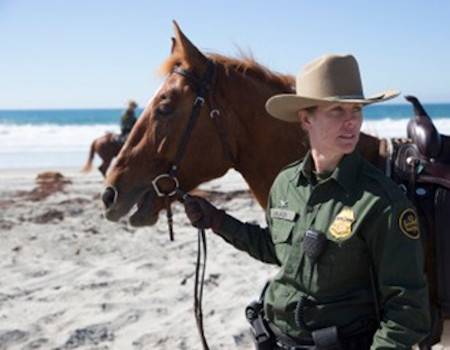 park service officer on beach with horse 450x300 park service officer on beach with horse