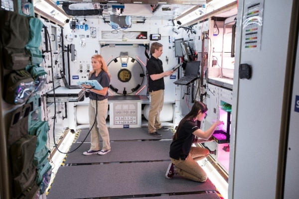 NextSTEP Lunar Habitat NextSTEP Lunar Habitat
