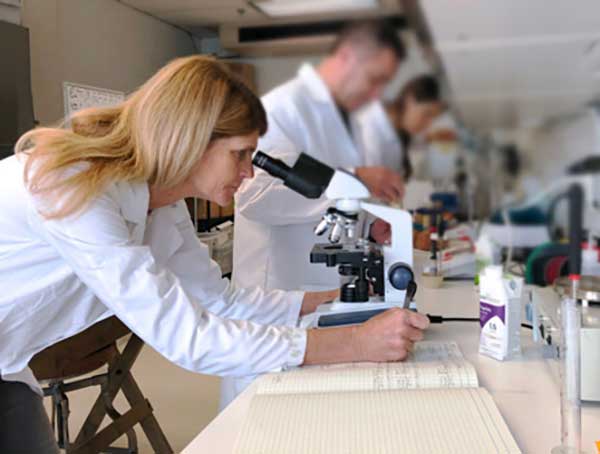 woman ina lab using a microscope woman ina lab using a microscope